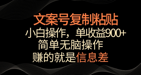 文案号掘金,简单复制粘贴,小白操作,单作品收益900+【揭秘】-第一资源库