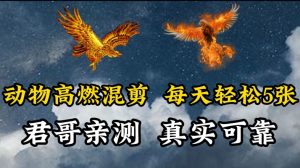 动物超燃混剪，每天轻松5张，剪辑简单大家爱看【揭秘】-第一资源库
