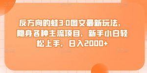 反方向的蛙3.0图文最新玩法,隐身各种主流项目,新手小白轻松上手,日入2000+【揭秘】-第一资源库
