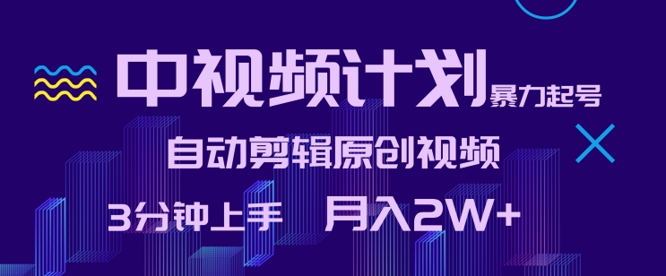 中视频计划暴力起号,自动剪辑原创视频,3分钟上手,月入2W+【揭秘】-第一资源库