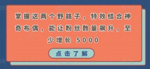 掌握这两个野路子,特效结合神奇布偶,能让粉丝数量飙升,至少增长 5000【揭秘】-第一资源库