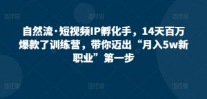 自然流·短视频IP孵化手,14天百万爆款了训练营,带你迈出“月入5w新职业”第一步-第一资源库
