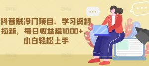 抖音贼冷门项目,学习资料拉新,每日收益超1000+,小白轻松上手【揭秘】-第一资源库
