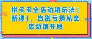 拼多多全店动销玩法【新课】，告别亏损从全店动销开始-第一资源库