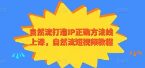 自然流打造IP正确方法线上课,自然流短视频教程-第一资源库