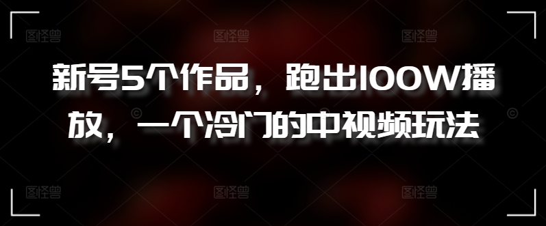 新号5个作品,跑出100W播放,一个冷门的中视频玩法【揭秘】-第一资源库