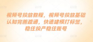 视频号投放教程,视频号投放基础认知完善疏通,快速建模打标签,稳住投产稳住账号-第一资源库