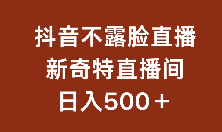 不露脸挂机直播,新奇特直播间,日入500+【揭秘】-第一资源库