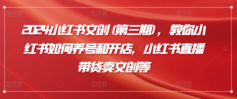 2024小红书文创(第三期),教你小红书如何养号和开店,小红书直播带货卖文创等-第一资源库