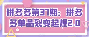 拼多多第37期:拼多多单品裂变起爆2.0-第一资源库