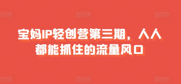 宝妈IP轻创营第三期,人人都能抓住的流量风口-第一资源库