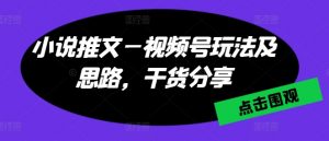 小说推文—视频号玩法及思路,干货分享-第一资源库