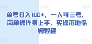 单号日入100+，一人可三号，简单操作易上手，实操落地保姆教程【揭秘】-第一资源库