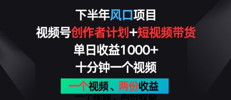 下半年风口项目,视频号创作者计划+视频带货,一个视频两份收益,十分钟一个视频【揭秘】-第一资源库
