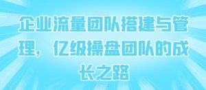 企业流量团队搭建与管理，亿级操盘团队的成长之路-第一资源库