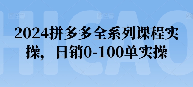 2024拼多多全系列课程实操,日销0-100单实操【必看】-第一资源库