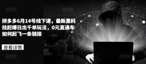 拼多多6月14号线下课，最新黑科技起爆日出千单玩法，0元直通车如何起飞一条链接-第一资源库