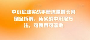 中小企业实战手册流量增长案例全拆解,从实战中沉淀方法,可复用可落地-第一资源库