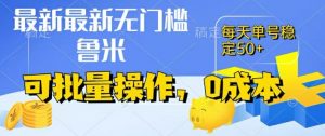 最新0成本项目，不看广告、不养号，纯挂机单号一天50+，收益时时可见，提现秒到账【揭秘】-第一资源库