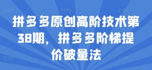 拼多多原创高阶技术第38期，拼多多阶梯提价破量法-第一资源库