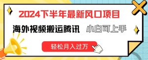 2024下半年最新风口项自,海外视频搬运腾讯,小白可上手,轻松月入过万【揭秘】-第一资源库