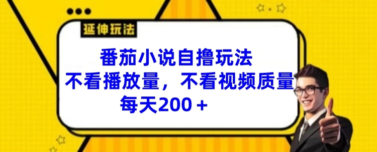 番茄小说自撸玩法,不看播放量,不看视频质量,每天200+【揭秘】-第一资源库