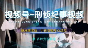 利用刑侦纪实视频,赚视频号分成计划收益,操作简单,新手小白轻松月入过万【揭秘】-第一资源库