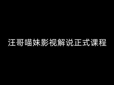 汪哥影视解说正式课程:剪映/PR教学/视解说剪辑5大黄金法则/全流程剪辑7把利器等等-第一资源库