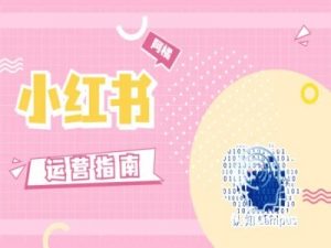 小红书运营指南,没有套路,全是经验-第一资源库