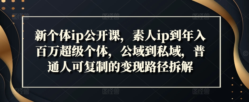 新个体ip公开课,素人ip到年入百万超级个体,公域到私域,普通人可复制的变现路径拆解-第一资源库