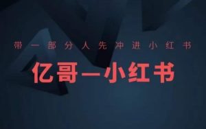 带一部分人先冲进小红书,小红书开店、选品、爆款裂变-第一资源库