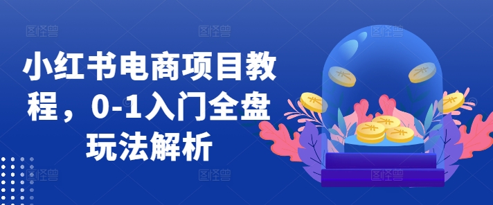 小红书电商项目教程,0-1入门全盘玩法解析-第一资源库