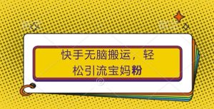 快手无脑搬运,轻松引流宝妈粉,纯小白轻松上手【揭秘】-第一资源库