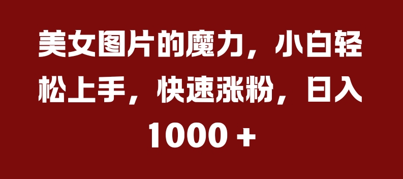 美女图片的魔力,小白轻松上手,快速涨粉,日入几张【揭秘】-第一资源库