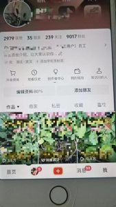 最新抖音暴力起万粉技术，一天涨万粉，发三四个作品涨近万粉-第一资源库