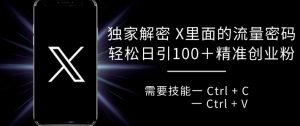 独家解密 X 里面的流量密码,复制粘贴轻松日引100+-第一资源库
