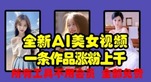 全新AI美女视频,一条作品涨粉上千,所有工具不用会员,全部免费-第一资源库