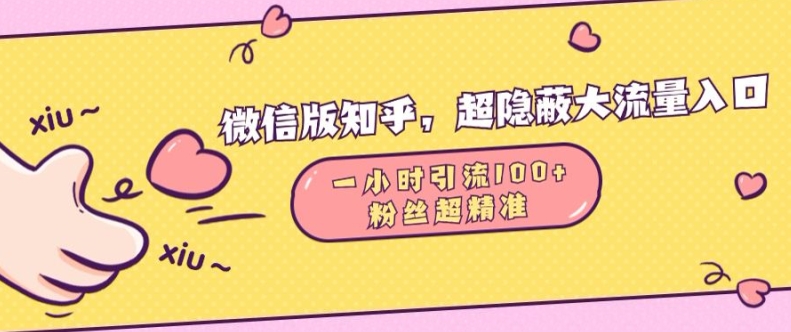 微信版知乎,超隐蔽流量入口1小时引流100人,粉丝质量超高【揭秘】-第一资源库