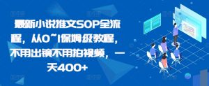 最新小说推文SOP全流程,从0~1保姆级教程,不用出镜不用拍视频,一天400+-第一资源库