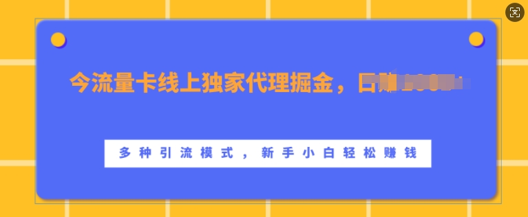 流量卡线上独家代理掘金,日入1k+ ,多种引流模式,新手小白轻松上手【揭秘】-第一资源库