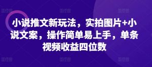 小说推文新玩法,实拍图片+小说文案,操作简单易上手,单条视频收益四位数-第一资源库