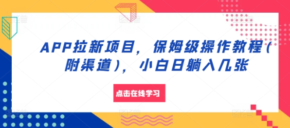 APP拉新项目,保姆级操作教程(附渠道),小白日躺入几张【揭秘】-第一资源库