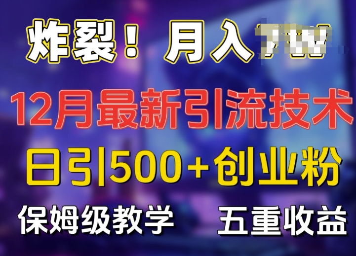炸裂!揭秘12月最新日引流500+精准创业粉,多重收益保姆级教学-第一资源库