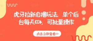 虎牙拉新自撸玩法,单个后台每天100+,可批量操作-第一资源库