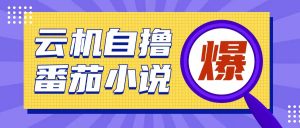 首发云手机自撸小说玩法,10块钱成本可撸200+收益操作简单【揭秘】-第一资源库