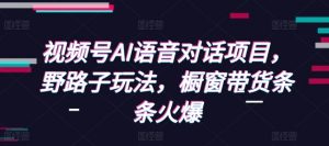 视频号AI语音对话项目,野路子玩法,橱窗带货条条火爆-第一资源库