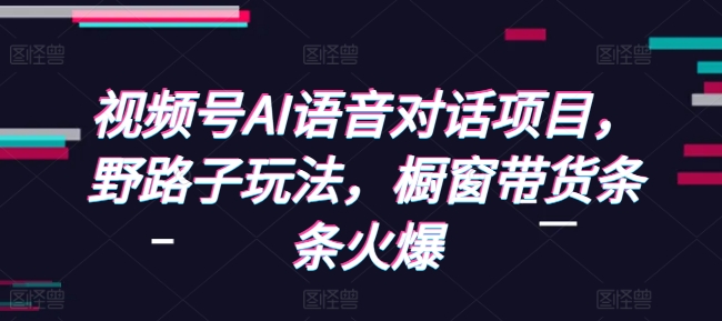 视频号AI语音对话项目,野路子玩法,橱窗带货条条火爆-第一资源库