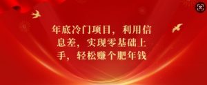年底冷门项目,利用信息差,实现零基础上手,轻松赚个肥年钱【揭秘】-第一资源库
