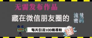 藏在微信朋友圈的流量密码，无需发布作品，单日引流100+精准创业粉【揭秘】-第一资源库