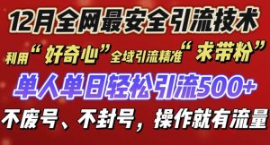 12 月份全网最安全引流创业粉技术来袭,不封号不废号,有操作就有流量【揭秘】-第一资源库
